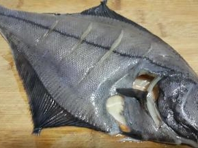 比目鱼去鳞去腮去肚，鱼身用刀划出口，以便待会腌制入味