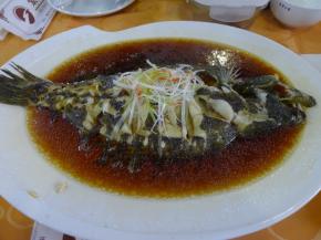 蒸好的比目鱼取出，拂去表面的姜片和葱段，撒上葱丝，淋上一勺热油即可