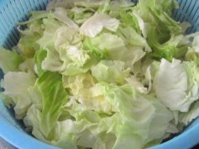 猪肉切片，甘蓝、洋葱和彩椒洗好后切块或丝