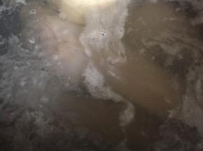 羊腿冷水下锅，煮至沸腾，撇去血沫，捞出羊腿温水洗净