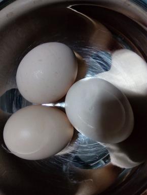 鸡蛋洗干净备用