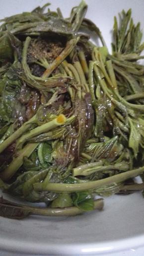 香椿放入碗中，根据自己的喜好放入调味品