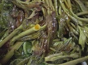 香椿放入碗中，根据自己的喜好放入调味品