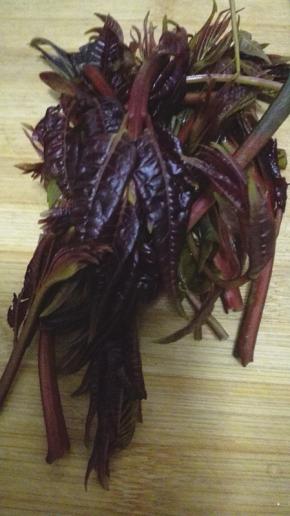 香椿洗净焯水，然后捞出控干水分