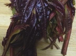 香椿洗净焯水，然后捞出控干水分