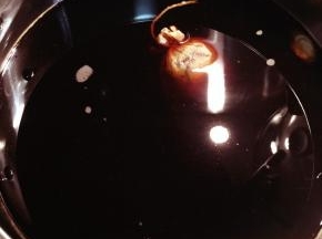 鸭胗放入锅内，倒入卤汁，生抽和老抽，白糖，放入八角，葱段大火煮开