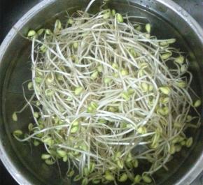 金针菇和黄豆芽洗净放入水中烫熟，捞出之后控干水分放入碗底