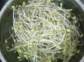 金针菇和黄豆芽洗净放入水中烫熟，捞出之后控干水分放入碗底