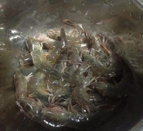 将明虾清洗干净，剪去须子，剪开后背处用牙签挑去虾线，控干水分