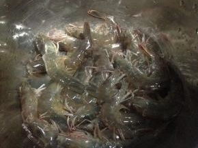 将明虾清洗干净，剪去须子，剪开后背处用牙签挑去虾线，控干水分