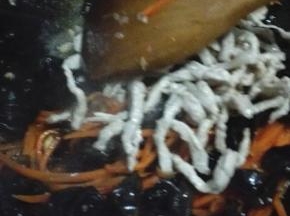炒至断生之后放入猪肉一起翻炒