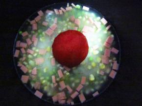 将去皮后的番茄放在电饭锅中，同平时煮饭一般按下煮饭键即可