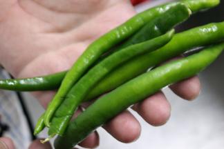 蘑菇去根清洗干净