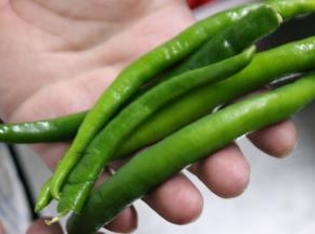 蘑菇去根清洗干净