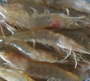 明虾用清水冲洗干净，剪掉虾须。剪开背部，挑去虾线。控干水分备用