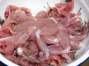 田鸡宰杀后去皮，洗净切块