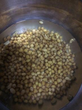 黄豆提前泡发