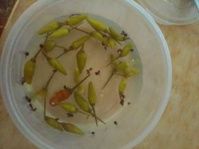 准备泡椒水，将辣椒剪开，加入凉白开，放入4汤匙白醋、2/3汤匙白糖，1/2汤匙白酒，少许盐和花椒，搅拌均匀