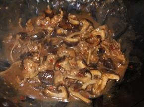 再次沸腾后转中小火，煮8分钟左右，倒入由水淀粉（淀粉+清水）勾芡，大火收汁