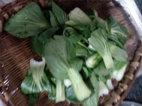 飘儿白一片片的剥开，洗净后沥干