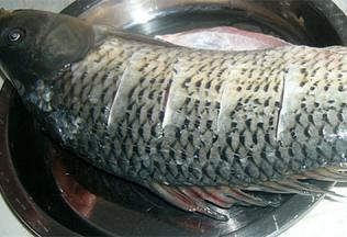 鲤鱼洗净去除腥线，切花刀，上七刀后八刀