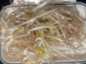 豆芽洗好后控水