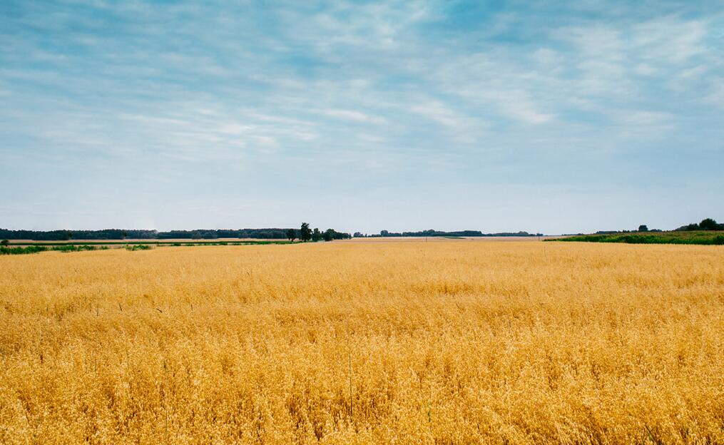 中元节安康！说说那些流传千年的传统文化习俗