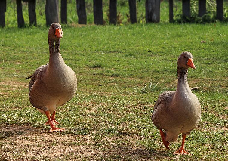 中元节安康！说说那些流传千年的传统文化习俗