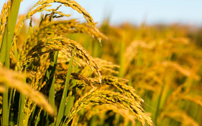 中秋节的那些事