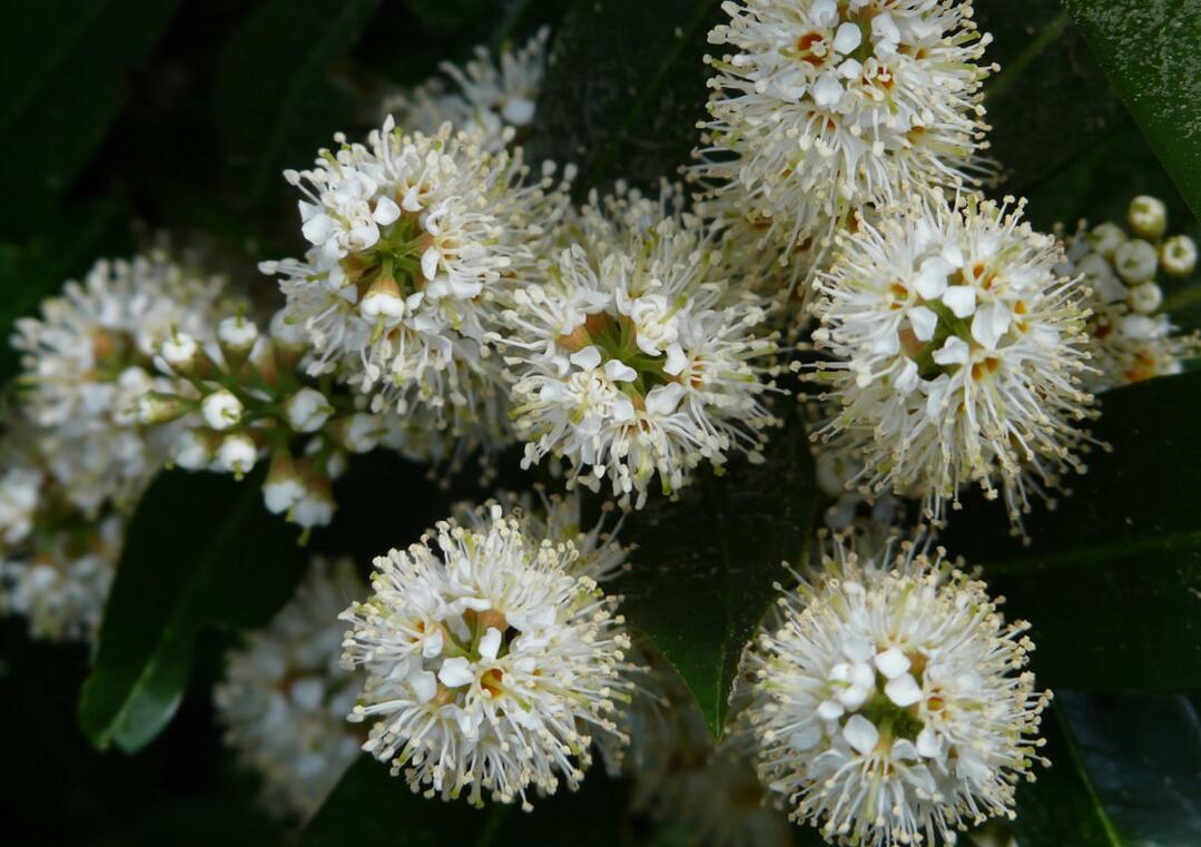 中秋节的那些事