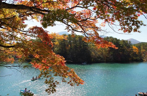 秋天来啦！秋季养生食疗指南！