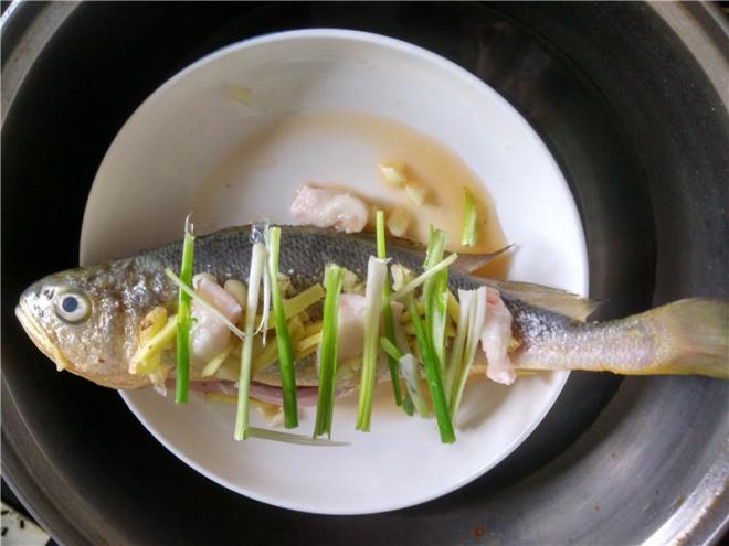 清蒸黄瓜鱼