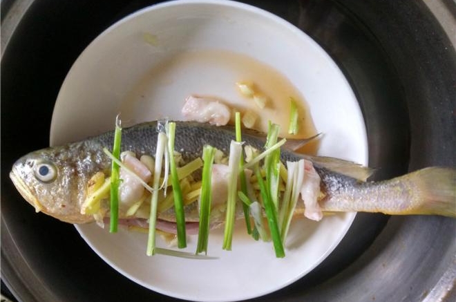 清蒸黄瓜鱼