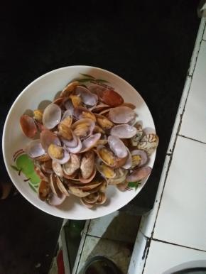 花蛤在清水中过5分钟，放入2勺盐，出锅