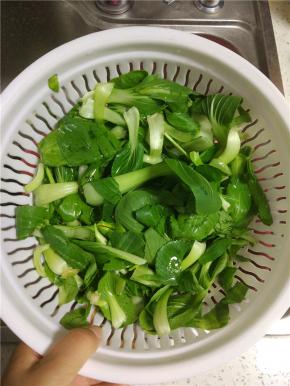 番茄油菜清洗干净