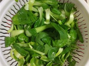 番茄油菜清洗干净