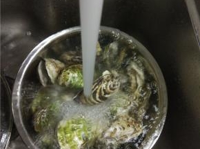 将买回来的海蛎子放在水龙头下冲洗赶紧