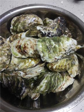 清水里面放两勺油，放入清洗干净的海蛎子泡上30分钟左右