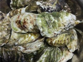 清水里面放两勺油，放入清洗干净的海蛎子泡上30分钟左右