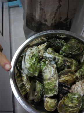 煮好的海蛎子捞出来，过凉水，装盆里就可以开吃啦，不需要任何佐料，保留食物的原汁原味