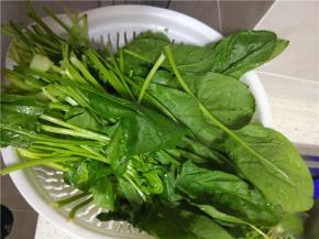 菠菜清洗干净，沥干水分