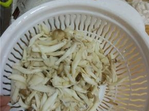 木耳冷水泡发，蘑菇热水烫一下控干水分，