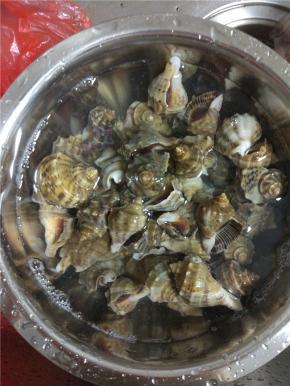 买回来的小海螺用清水冲洗两三遍，在盆里放入少许的食用油，放入海螺浸泡30分钟