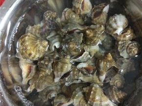 买回来的小海螺用清水冲洗两三遍，在盆里放入少许的食用油，放入海螺浸泡30分钟