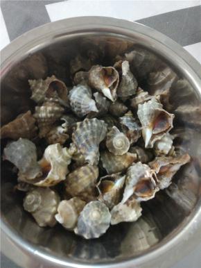 大火煮五分钟就可以啦，装在盆子，不需要任何佐料，备上几个牙签老少皆宜的小海螺就可以吃起来了，