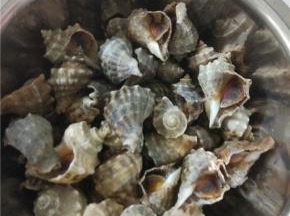 大火煮五分钟就可以啦，装在盆子，不需要任何佐料，备上几个牙签老少皆宜的小海螺就可以吃起来了，