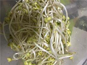 豆芽淘洗干净，沥干备用，粉条泡软备用。