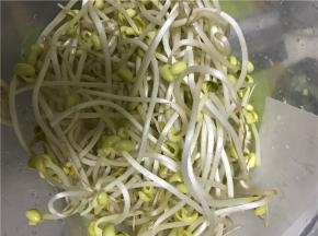 豆芽淘洗干净，沥干备用，粉条泡软备用。