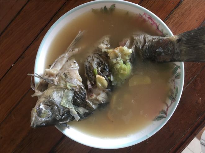 鲫鱼汤