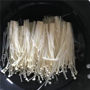 金针菇洗净放入锅中冷水煮